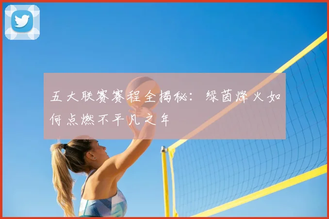 五大联赛赛程全揭秘：绿茵烽火如何点燃不平凡之年